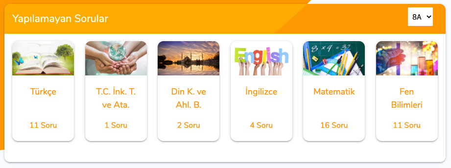 Yapılamayan Sorular