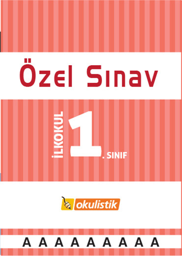 Özel Sınav