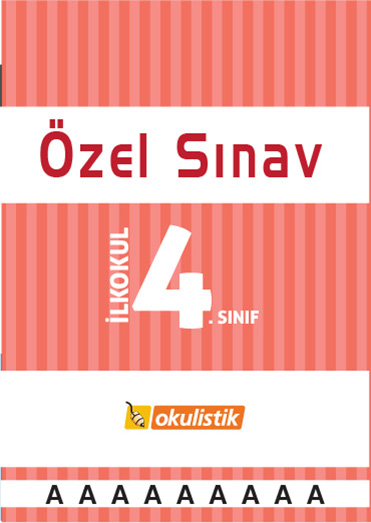 Özel Sınav